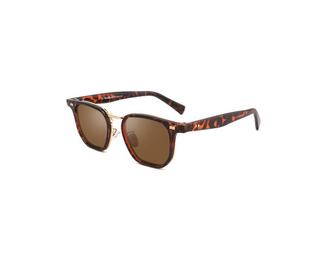 AlterImage Shells Tortoise / Brown Lens eyewear from Hasbro Leather